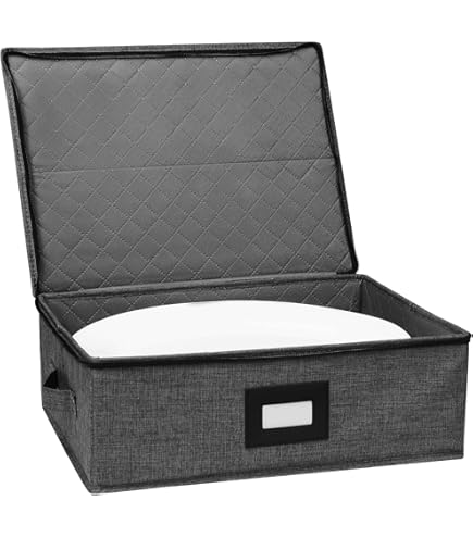 Amazon.com: Platter Storage Case, China Storage Containers